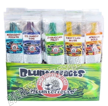 Blunteffects Incense Stick * Assorted Fragrances * 72 ct display