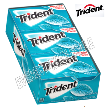 Trident Gum 14 sticks * Wintergreen * 12 Pks / Box
