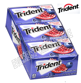 Trident Gum 14 sticks * Wild Blueberry Twist * 12 pks / Box