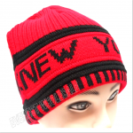 Double Fleece Sport Insulation New York Logo Winter Hat