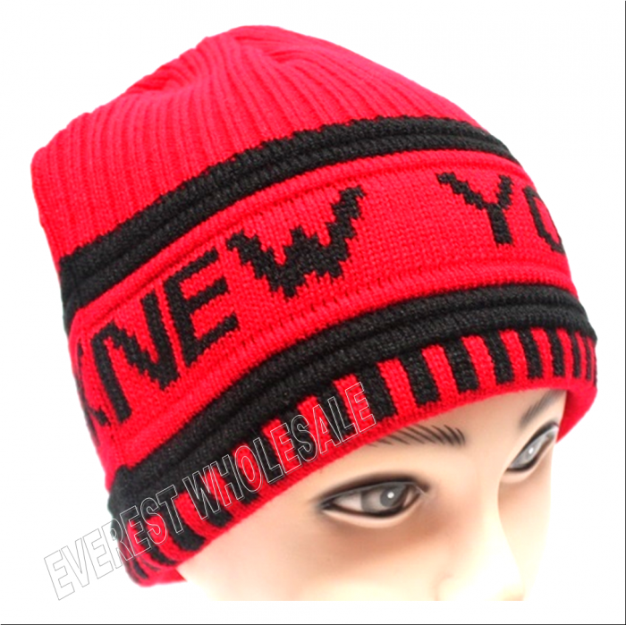 Double Fleece Sport Insulation New York Logo Winter Hat - Image 1