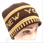 Double Fleece Sport Insulation New York Logo Winter Hat - Image 6