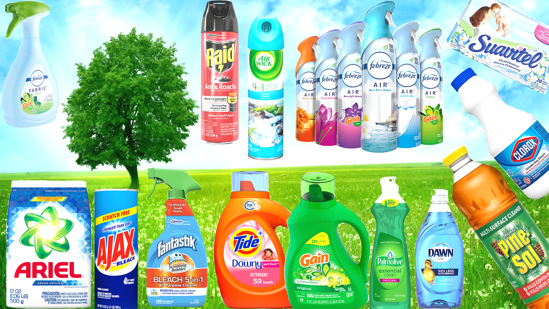 HOUSEHOLD & CLEANING PRODUCTS HOUSEHOLD & CLEANING PRODUCTS